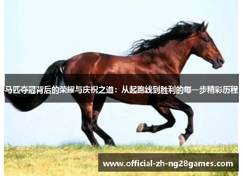 马匹夺冠背后的荣耀与庆祝之道：从起跑线到胜利的每一步精彩历程